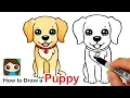 How to Draw a Labrador Golden Retriever Puppy Easy