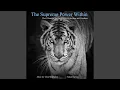 Download Lagu Meditation on the Durga Bija Mantra - Om Dum Durgayai Namaha (feat. Nate Morgan \u0026 Tom Rossi)