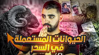 الحيوانات المستعملة في السحر حـ ـقائــق و أسـ ـرار لــم تسمــعها من قبل 