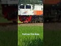Download Lagu nih KA MALABAR ku kira sa ni kuat tahan nih luka
