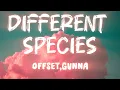 Download Lagu Offset – Different Species (feat. Gunna) | Official Lyrics Video 