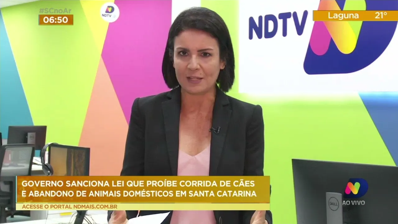 Governo sanciona lei que proíbe corrida de cães e abandono de animais domésticos em Santa Catarina