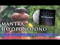 Lagu MANTRA untuk BOOSTER Law of Attraction dan Penyembuhan Diri - Ho'oponopono Indonesia