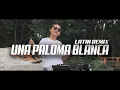 Download Lagu UNA PALOMA BLANCA - LATIN REMIX (DJ QUEENS)