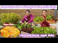 Download Lagu PANEN SEMUA CABE \u0026 KEMANGI SEBELUM MUSIM DINGIN TIBA || LANGSUNG MASAK AYAM WOKU TERENAK 