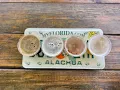 First Magnitude Brewing Co Gainesville Florida
