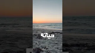 عقدة حياتة دندنها