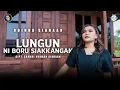 Lagu ROINNA SIAHAAN - LUNGUN NI BORU SIAKKANGAN (LAGU BATAK TERBARU 2025) | OFFICIAL MUSIC VIDEO