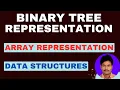 Binary Tree Representation Array Representation of Binary Tree Linked list Representation DS