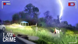 Dog Exposes Owner’s Killer After Horrific Murder