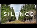 SILENCE - 8 Hours of Nothing | Pure Silent Place | Relaxing Ambience | Soft Wind | Quiet #347