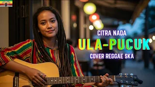 ula pucuk citra nada tarling cover reggae viral tiktok 2026 
