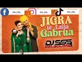 Download Lagu Jigra Tan Laija Gabrua (Remix Video) - DJ SSS