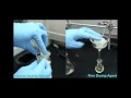 Technique of Extraction and Washing