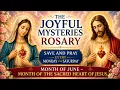 15 MINUTE JOYFUL MYSTERIES ROSARY MONTH OF JUNE - SACRED HEART OF JESUS