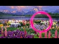 Download Lagu Sigma ft. Louisa - Here We Go Again#NBOFFICIAL1M