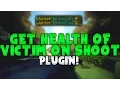 GET HEALTH OF VICTIM ON SHOOT Minecraft Plugin Tutorial