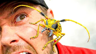 Catching Weird  Bugs! 