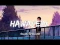 Download Lagu Hawayein [SloweD \u0026 ReverB] SonG