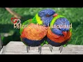 Prosolution Plus Review - Male Enhancement Pills To Prevent Premature Ejaculation
