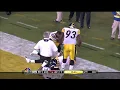 The Immaculate Interception James Harrison Pick Six in Super Bowl XLIII