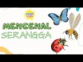 Download Lagu BELAJAR MENGENAL NAMA DAN SUARA SERANGGA | UNTUK PAUD \u0026 TK