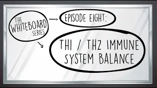 White Board Series Video #8  - Th1 / Th2 Immune System Balance