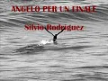 Angel para un final - Silvio Rodríguez (Traduzione italiano)