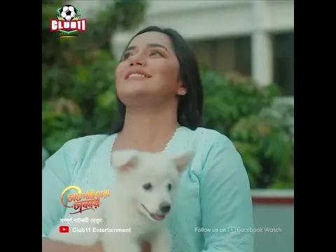 চাটগাঁইয়া ছেলে আর সিলেটি মেয়ের আঞ্চলিক ভাষার চরম মজার ঝগড়া!