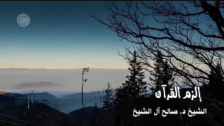 الشيخ د  صالح آل الشيخ   إلزم القرآن دندنها
