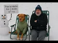 Prove by Induction that 2 Divides n n for n is a positive integer Discrete Math