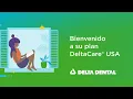 How Does DeltaCare USA Work A Complete Guide