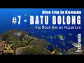 Download Lagu Komodo #7 : Dive on « Batu Bolong » the Rock like an Aquarium - 4k (top dive site) - Showreel