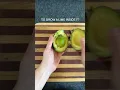 Download Lagu GMO Avocado Monstrosity #avocado #gmo #guacamole