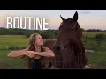 Download Lagu Creating Routines on a Small Farm