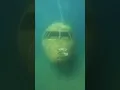 Download Lagu The Story of a Crashed Plane: Exploring Mysteries of Underwater Norman's Cay #ytshorts #shortsfeed