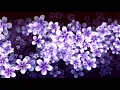 Lagu Aura meditation beautiful zen music to relax
