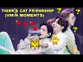 Download Lagu Tiger \u0026 Cat Friendship (VMIN Moments)