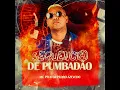 Sequência de Pumbadão