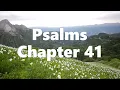 The Book of Psalms Chapter 41 - New King James Version NKJV