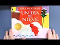 Un dia de Nieve