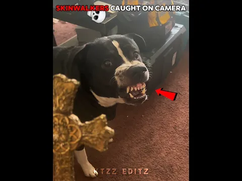 When Pets Turn Into Skinwalkers 💀