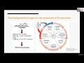 Bioinformatics Lecture 6 Next generation sequencing and bioinformatics tools for read alignment