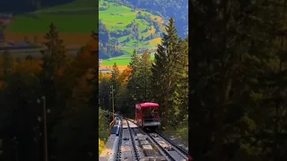  يا زمان لو كنت قادر ترجع وتقول حكايتي دندنها