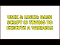 Unix Linux bash script is trying to execute a variable 2 Solutions