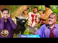 Download Lagu खूंखार भेड़िये के चंगुल से अभिजीत ने बचायी दया की जान || CID | TV Serila | Latest Episode