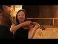 VIVALDI // 'Mandolin Concerto in C Major RV 425: I. Allegro' by Raffaele La Ragione
