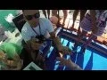 Training program of dolphins GI endoscopy