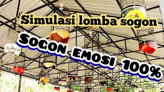 Download simulasi lomba sogon ter ampuh no1 MP3