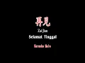 Download Lagu Zai Jian - 再見 - Selamat Tinggal - Karaoke - Male - Terjemahan - Pinyin - Lyrics - Lirik